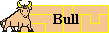 bull