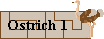 ostrich