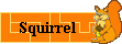 squirrel