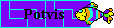 potvis