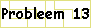 probleem 13